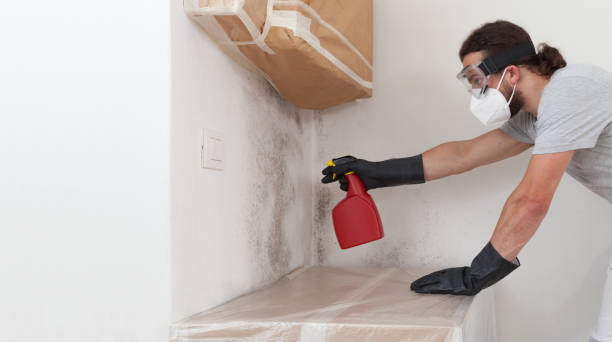 Professional Mold Testing technician working in Needham Heights, MA